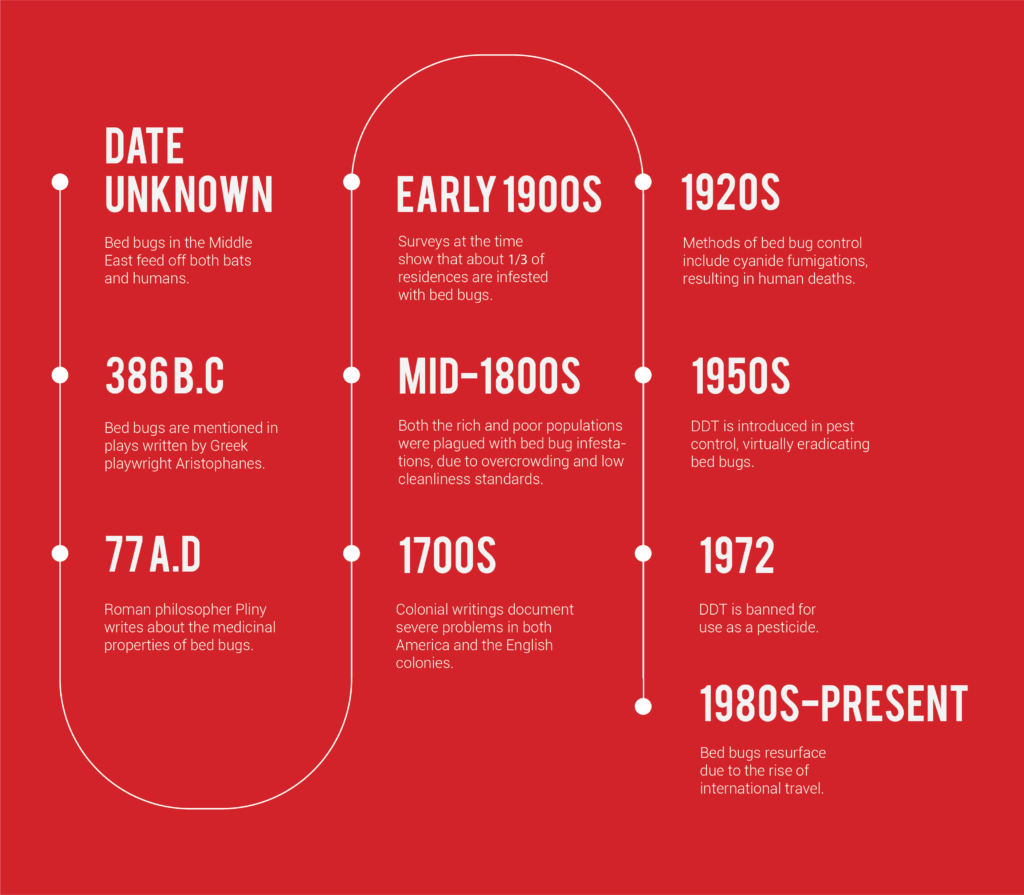 this graphic outlines the timetable of bed bugs