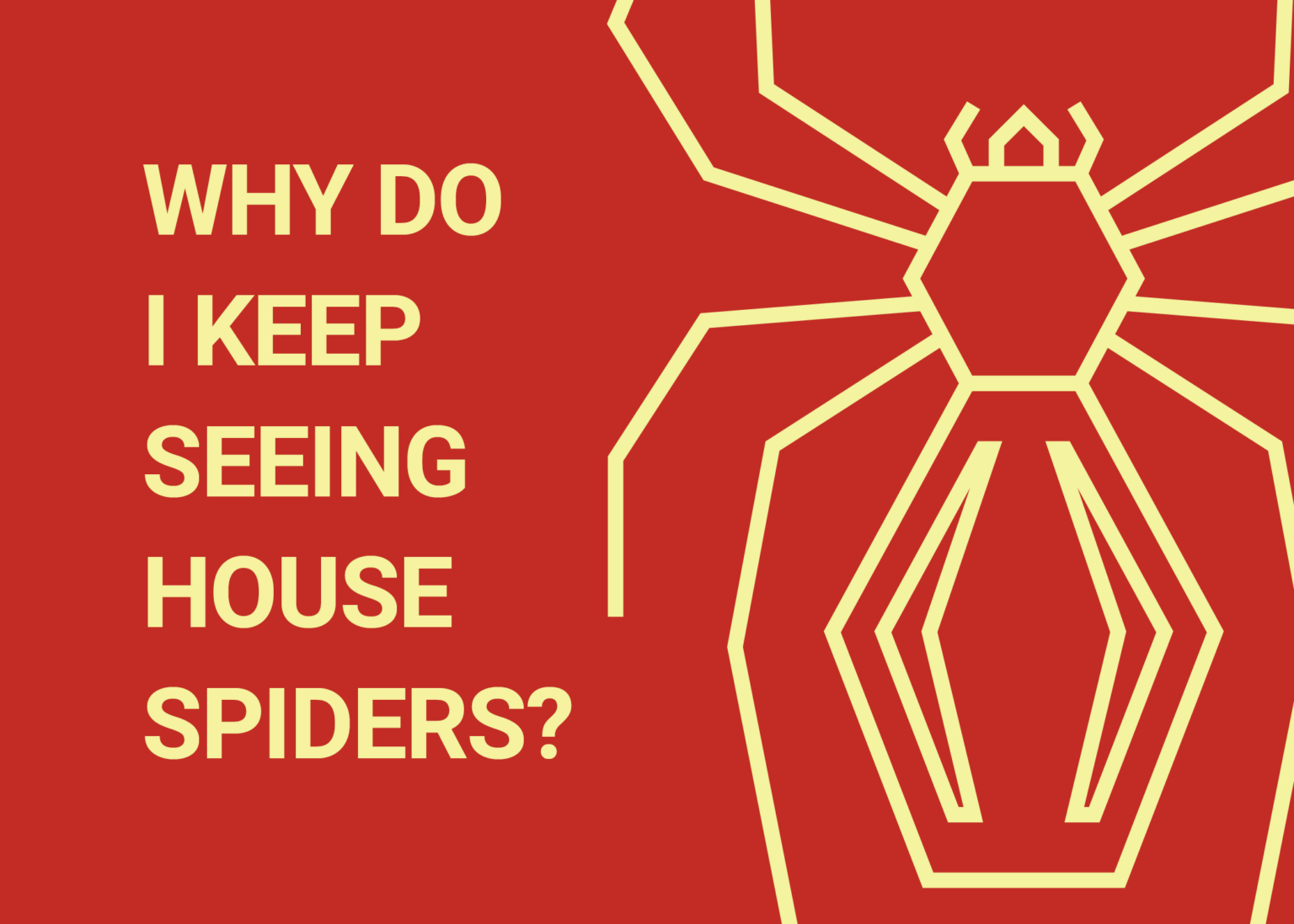 Why Do I Keep Seeing House Spiders? Dodson Pest Control
