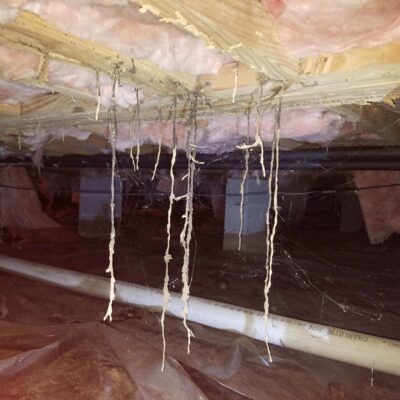 termite drop tube dangling from celing